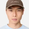 AA-logocap