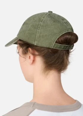 AA-logocap
