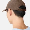 AA-logocap