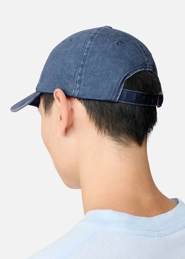 AA-logocap AA-logocap