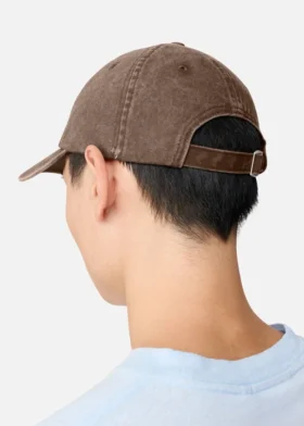 AA-logocap