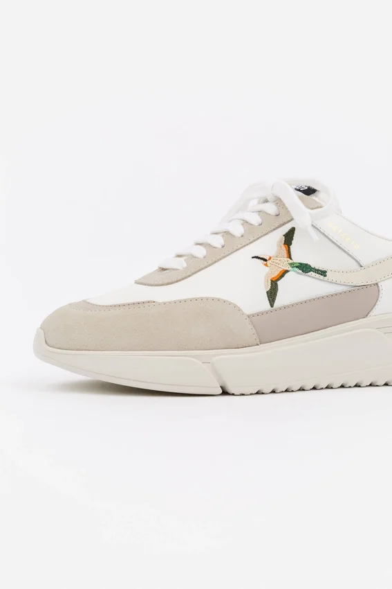 Genesis B Bird Runner Genesis B Bird Runner